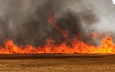 7 people ‘unaccounted for’ following explosion at fireworks warehouse oan