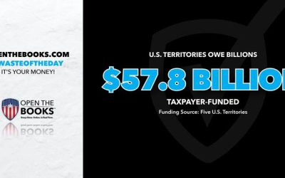 Waste Of The Day: Puerto Rico, Guam, Others In Debt