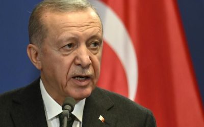 Turkey Becomes First Country To Block Grok After The AI Bot Insults Erdoğan