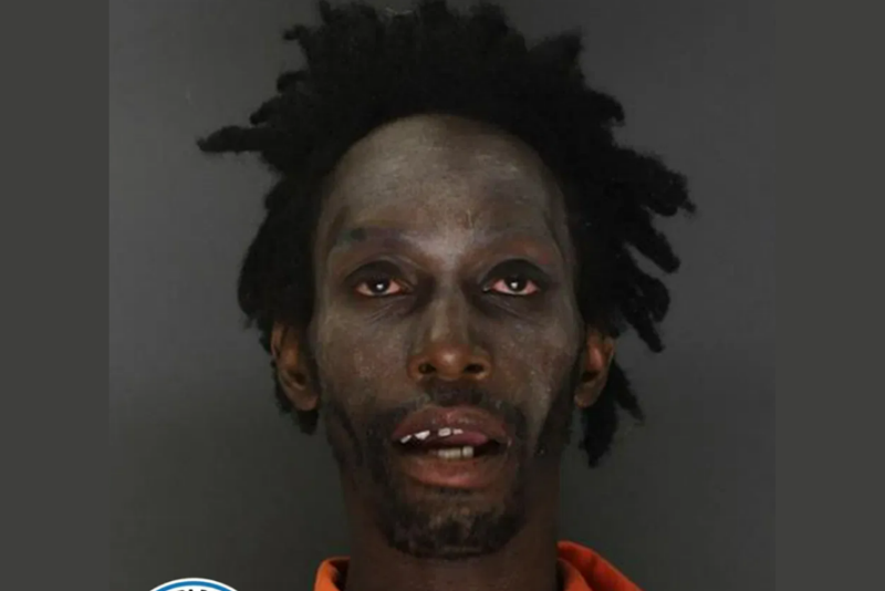 Registered sex offender ‘found incompetent to stand trial’ after being accused of attempting to kidnap 11-year-old oan