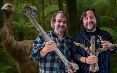 Peter Jackson Invests In Genetic Project To Bring Giant Bird Back From Extinction