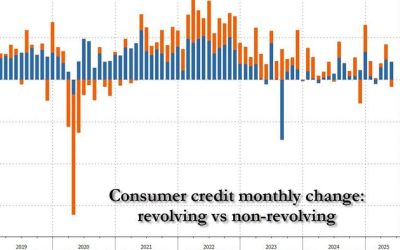 Credit Card Debt Unexpectedly Plunges As Student Loans Soar: Consumer Credit Update