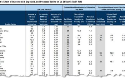 Fake News Tariffs? | zh
