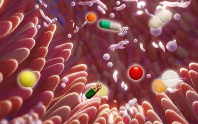 1 In 4 Non-Antibiotic Drugs Linked To Disrupted Gut Health