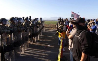 ICE Detains 361 Illegal Immigrants, Finds 14 Minors In Operation At California Marijuana Farms