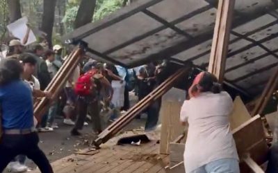 Watch: Mexico City Protest Against American Ex-Pat ‘Invasion’ Turns Violent