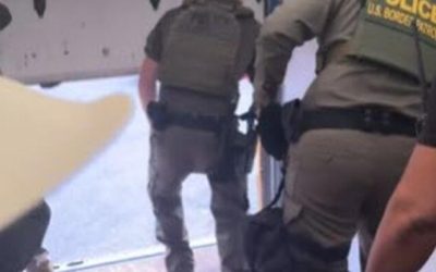Watch: Feds Jump Out Of Truck, Ambush Illegals At LA Home Depot