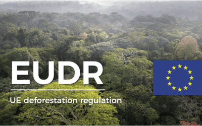 EU's Deforestation Crusade: Brussels Expands Green Deal Control