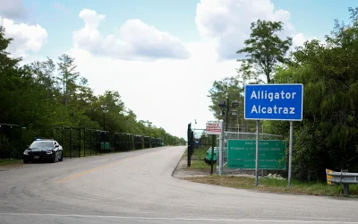 Judge temporarily halts construction at ‘Alligator Alcatraz’ detention center over environmental concerns oan