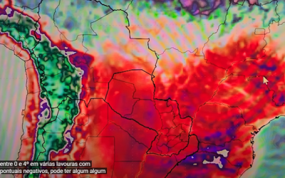 Coffee Analyst Warns Brazil Frost Could Deliver “Death Blow” To 2026 Harvest