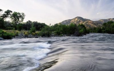 "We're Losing Our Community": Short-Term Rentals Are Ruining Three Rivers, Residents Say