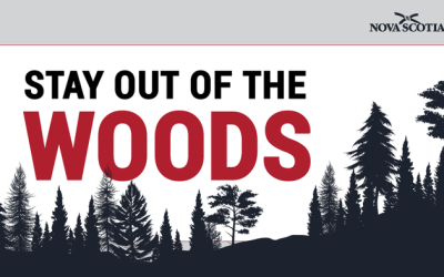 Canadians In Nova Scotia Now Banned From Using Public Forests