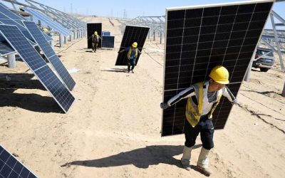 China’s Solar Industry Quietly Fired A Third Of Its Workers