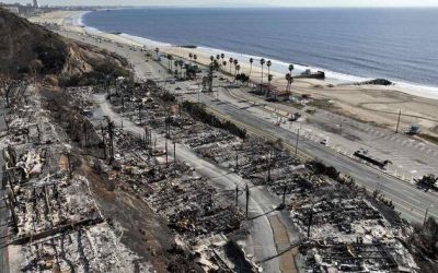 Now Comes the California Fire Sale: China-Based Company Is Buying Up Land Incinerated by Firestorms