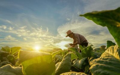 Stop Imagining Dystopia: We Can Create A Garden Of Eden Future