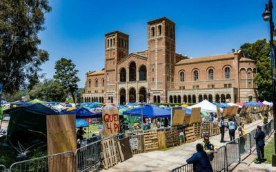 Government Has Frozen $584 Million In UCLA Funding, University Resumes Talks
