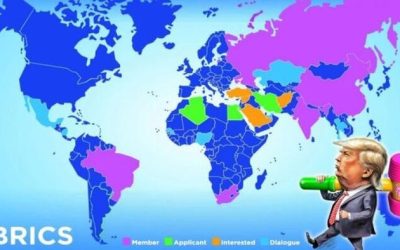 Escobar: Bear, Dragon, Elephant, Toucan, Nightingale Stare Down Goldfinger
