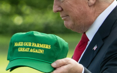 China Pivots To Brazil, Squeezing U.S. Farmers As Trump Plans Relief Fund