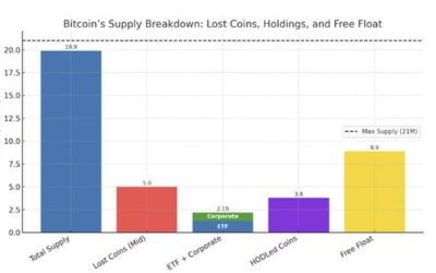 Up To 37% Of Circulating Bitcoin May Be Lost Forever In Silent Supply Shock