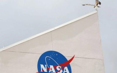 NASA Bans Chinese Nationals From Working On Agency Programs