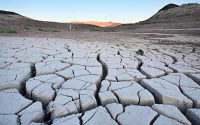 Farmers, Ranchers In 49 States To Get IRS Tax Relief Due To Drought