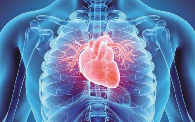 Medical Group Reveals Major Role Inflammation Plays In Heart Disease