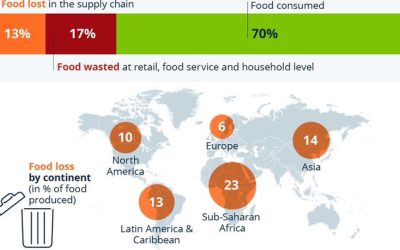 30% Of Food Produced Worldwide Goes To Waste