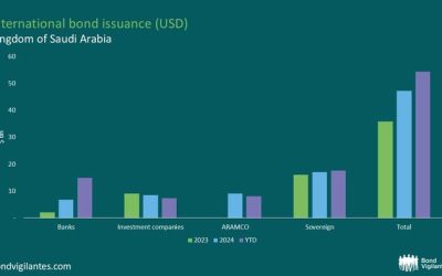 Saudi Arabia’s Debt Surge: Cementing Reliance On International Funding