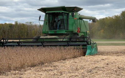 China’s Soybean Boycott – Key Questions Before Trump-Xi Meeting