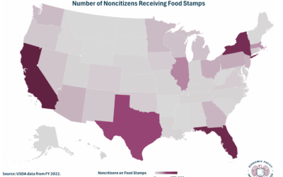 Mapping Where Non-Citizens Receive The Most Food Stamps
