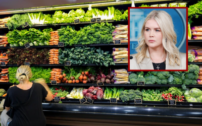 Leavitt slams Democrats as shutdown jeopardizes SNAP benefits for millions oan