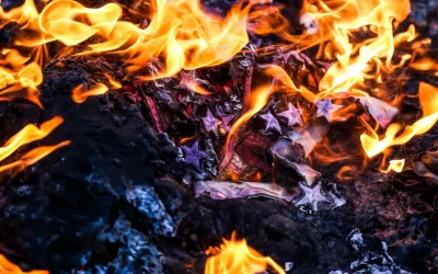 Anyone who burns the American flag ‘will be immediately arrested’ oan