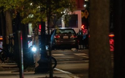 Driver arrested after crashing car into WH security gate oan