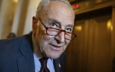 Chuck Schumer Calls For “Forceful” Uprising Against Trump Administration
