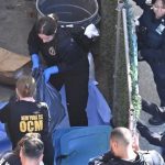Brooklyn Man Accused Of Dumping Boyfriend’s Rotting Body In Trash Screenshot202025-10-2220at2008.57.02.jpg