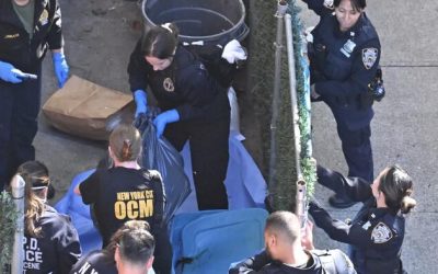 Brooklyn Man Accused Of Dumping Boyfriend’s Rotting Body In Trash