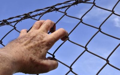 Most Of The Population Of The World Lives In A Nation Where Christians Are Being Persecuted