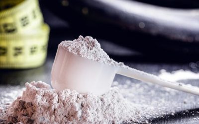 Pivotal Research On Creatine Finds Foundational Applications Way Beyond The Gym – Including Brain, Bone, And Healthy Aging