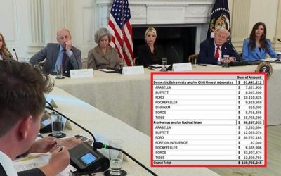 Musk Says “Far More Than $100 Million” US Taxpayer Funds Funneled Into NGOs Fueling Chaos; Trump Briefed On Dark-Money Networks