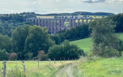 The Rise & Rise Of AfD: Exploring The Unprecedented Political Dumbassery Afoot In The Federal Republic