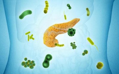 27 Microbes Linked To Pancreatic Cancer, Major Study Finds