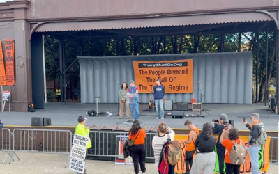 Democrat Election Victories Fail To Spark Mass Mobilization Around White House