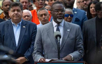 Insurrection Chic | zh