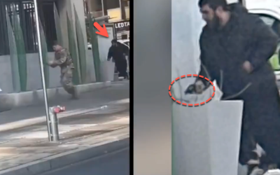 Guard Member Dies After Potential DC ‘Terrorist’ Attack; Trump Pushes Emergency Migration Freeze Amid Homeland Threat