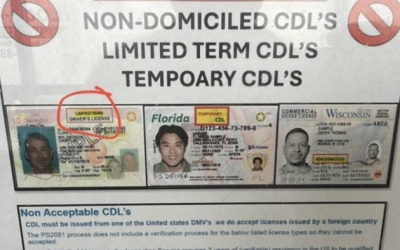 USPS Built Mail System On Foreign Truck Drivers, Now Expects Special Treatment From Law