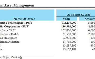 80% Of Michael Burry’s 13F Is Palantir And Nvidia Puts