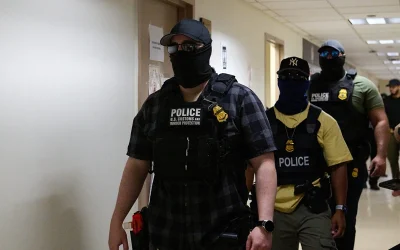 FBI calls on ICE to ID themselves during raids, following rise of criminals impersonating agents oan