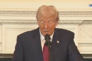 WATCH: Trump warns ‘kamikaze’ Democrats will ‘take down the country if they have to’
