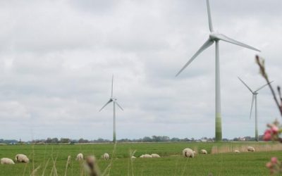 Most Germans Oppose Combustion Engine Bans And Meat Reduction Measures To Save The Planet