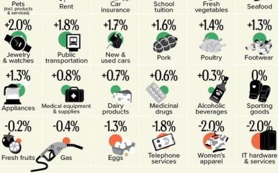 Eggs, Gas, & Women’s Clothing Prices Down; Beef, Smokes, & Electricity Up In 2025